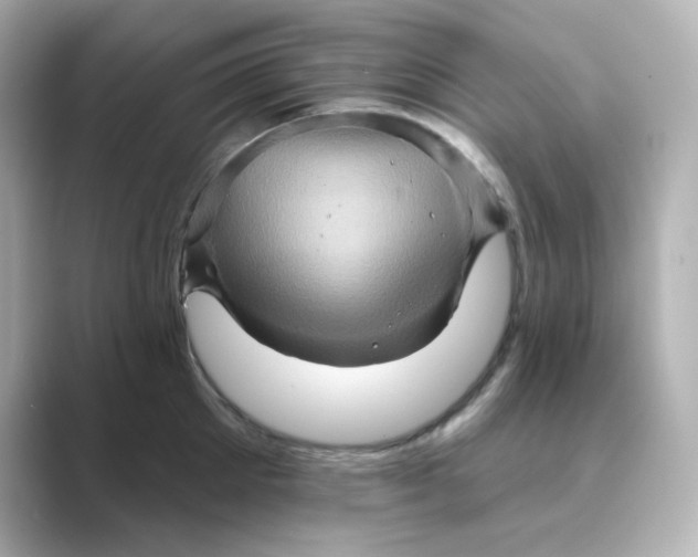X0000088670905200706211849