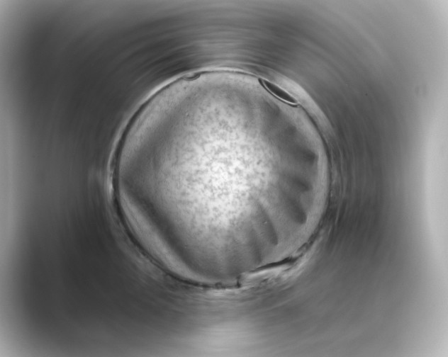 X0000088670908200706211848
