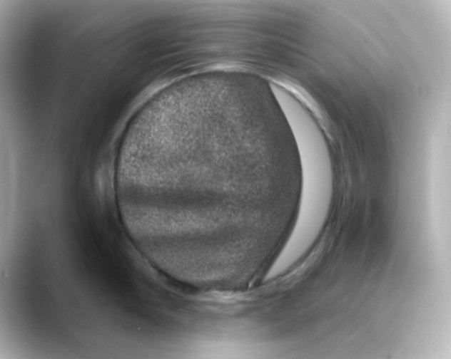 X0000088670910200706211848