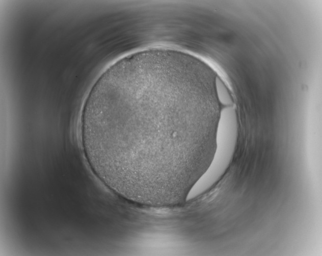 X0000088670911200706211848