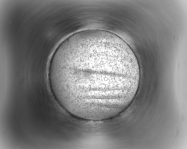 X0000088670912200706211848