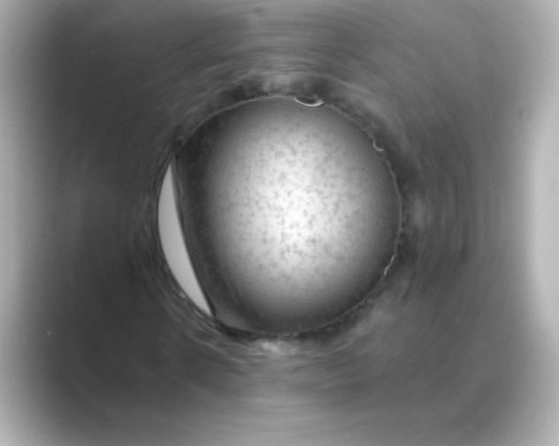 X0000088670914200706211848