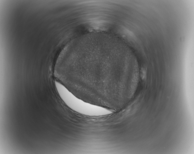 X0000088670915200706211848