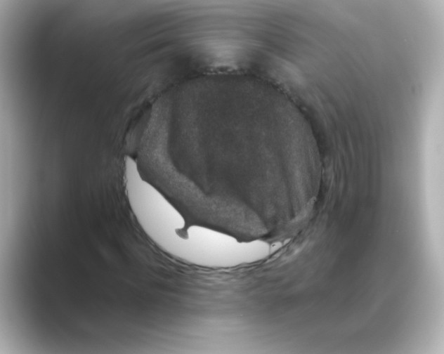 X0000088670916200706211848