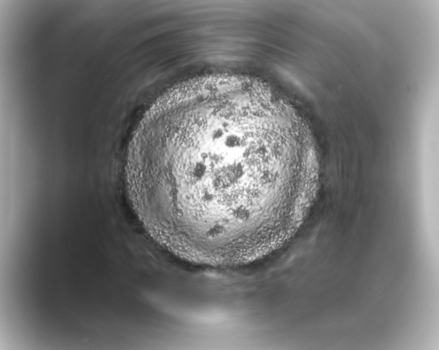 X0000088670917200706211848