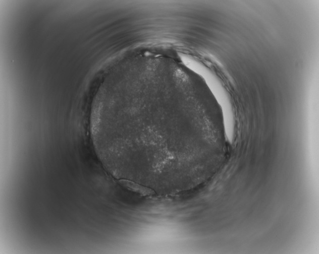 X0000088670919200706211848