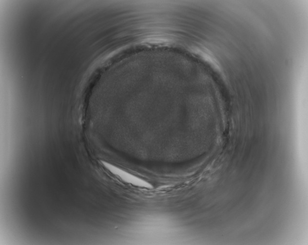 X0000088670920200706211848
