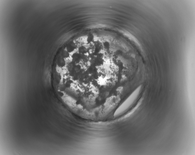 X0000088670921200706211848