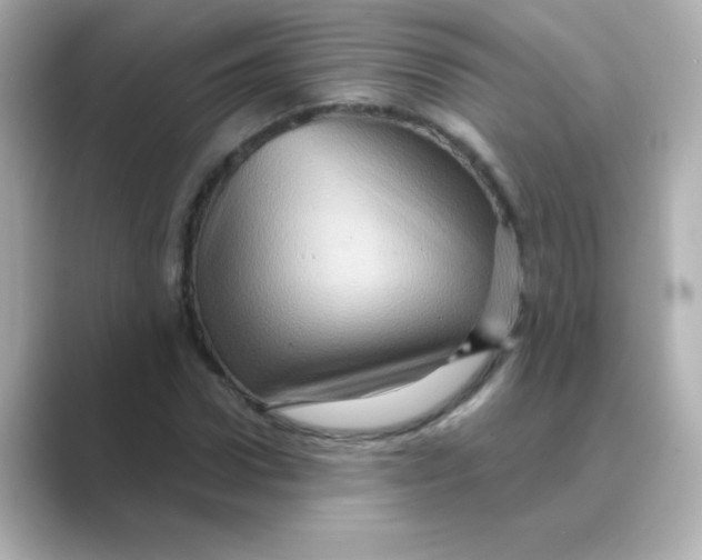 X0000088670922200706211848