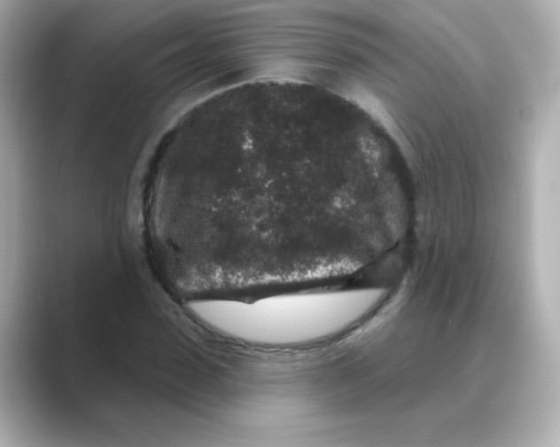 X0000088670923200706211848