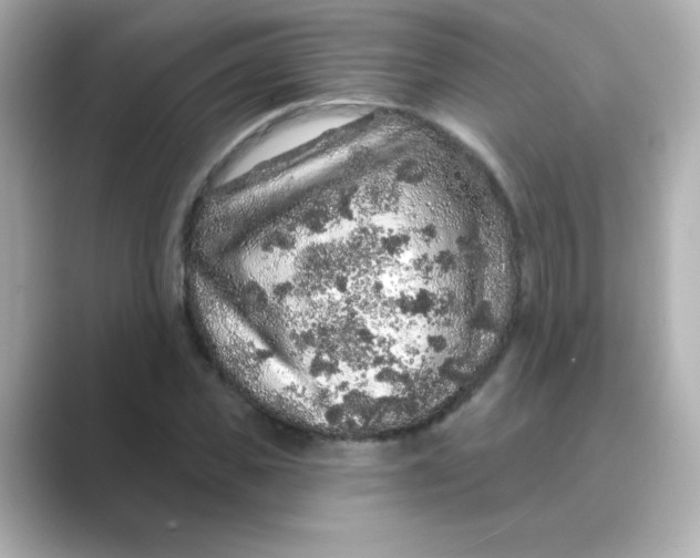 X0000088670925200706211848
