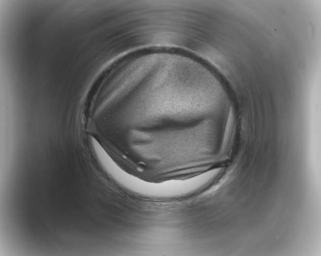 X0000088670926200706211848