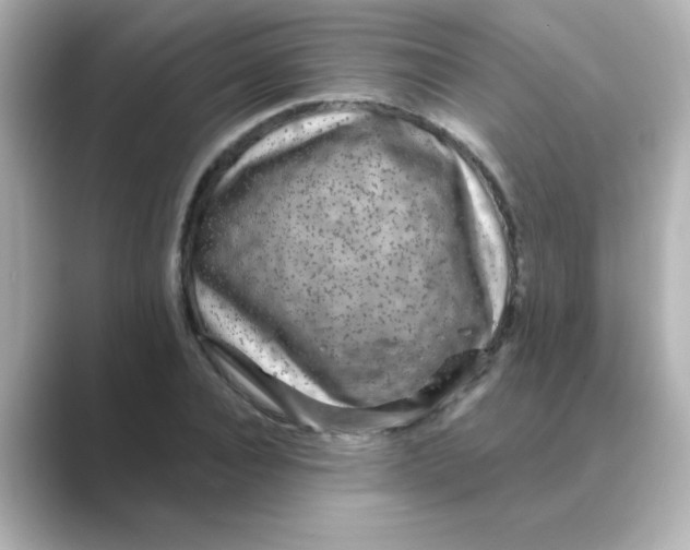 X0000088670928200706211848