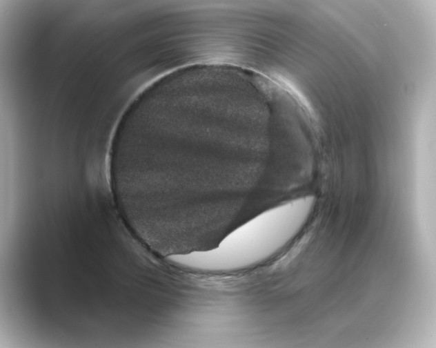 X0000088670932200706211848