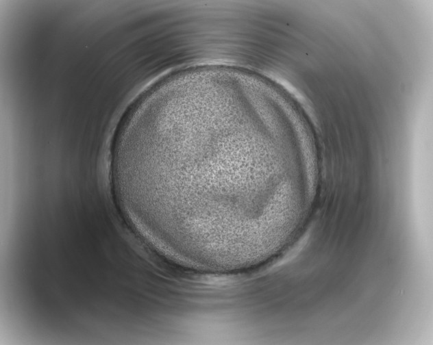 X0000088670933200706211848