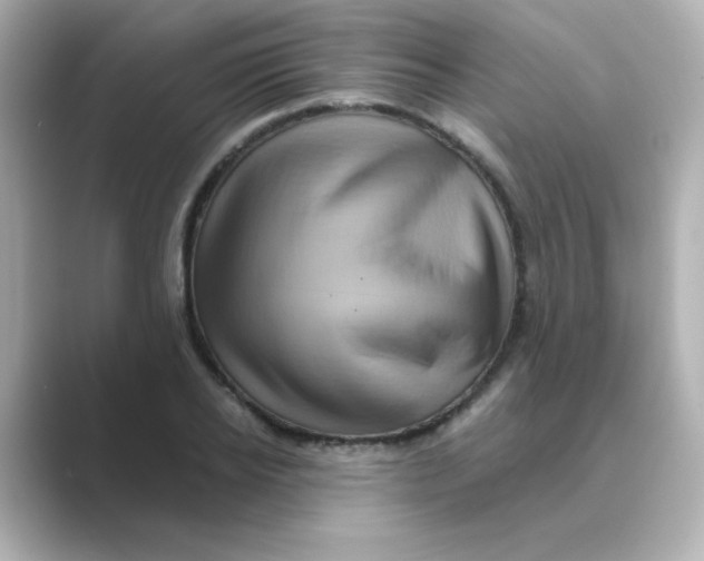 X0000088670934200706211848