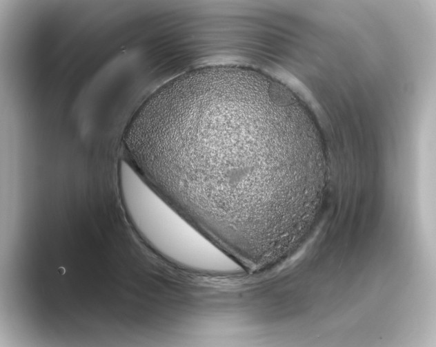 X0000088670937200706211848