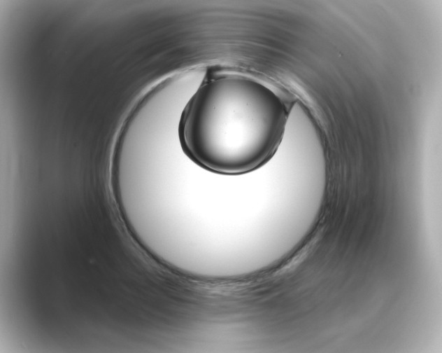 X0000088670940200706211848