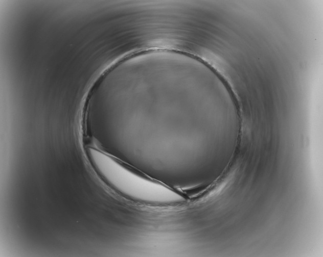X0000088670941200706211848