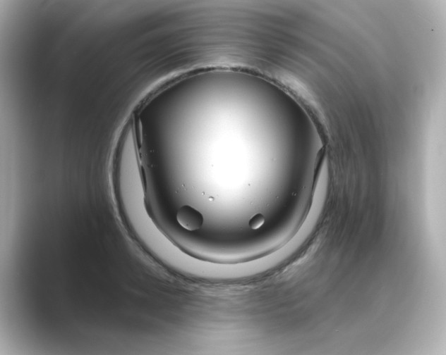 X0000088670942200706211848