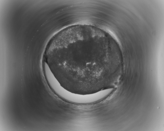 X0000088670944200706211848
