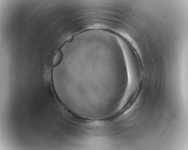 X0000088670945200706211848