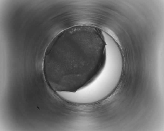 X0000088670946200706211848