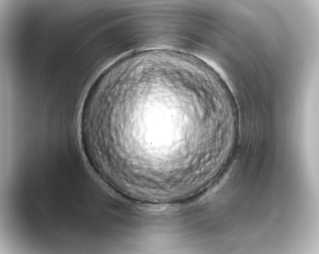 X0000088670949200706211848