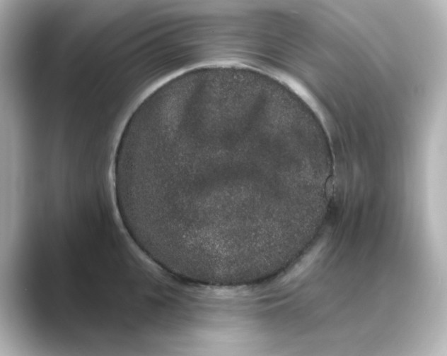X0000088670951200706211848