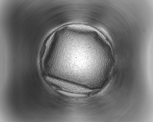 X0000088670952200706211848