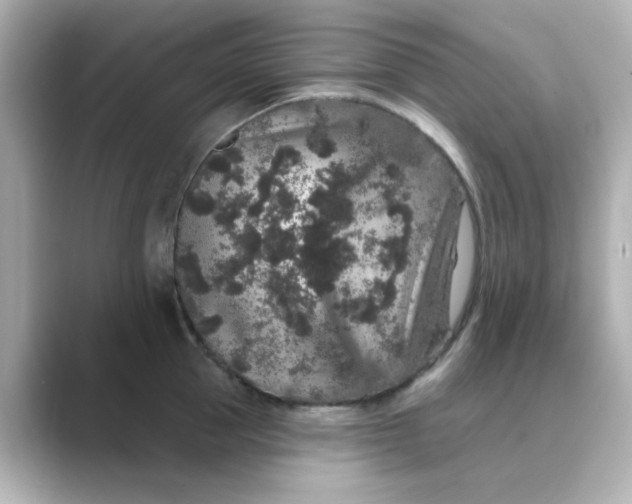 X0000088670953200706211848