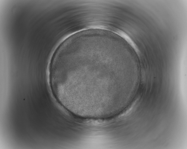 X0000088670955200706211848