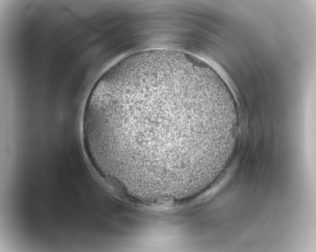 X0000088670957200706211848
