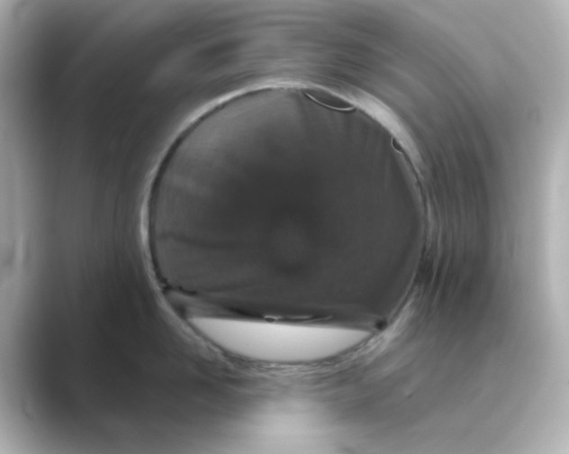 X0000088670958200706211848