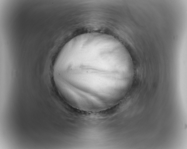 X0000088670961200706211848