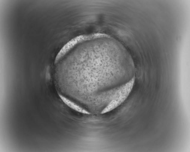 X0000088670962200706211848