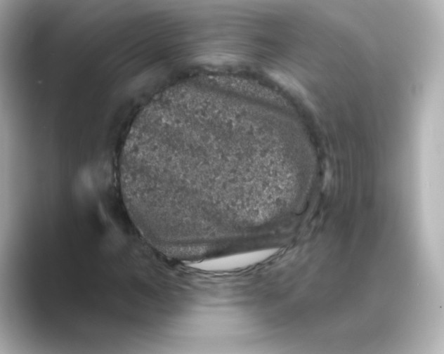 X0000088670966200706211848