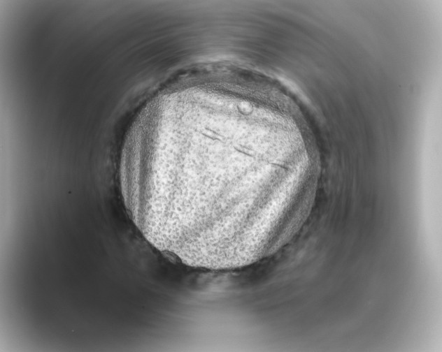 X0000088670967200706211848