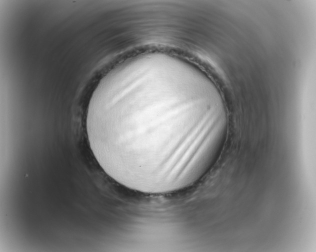 X0000088670968200706211848