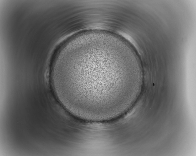 X0000088670971200706211848
