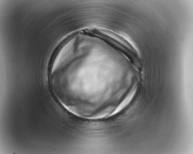 X0000088670972200706211848