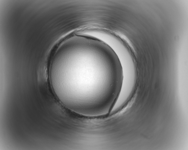 X0000088670973200706211848