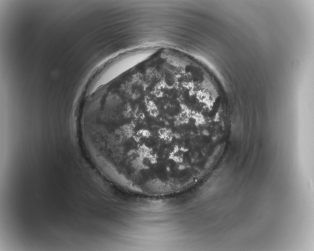 X0000088670975200706211848