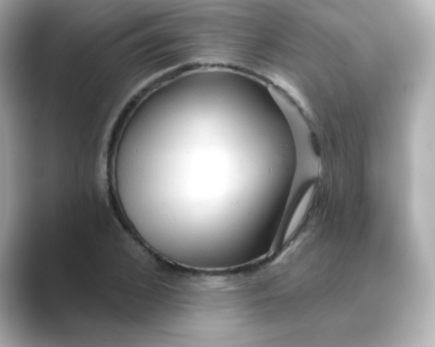 X0000088670976200706211848