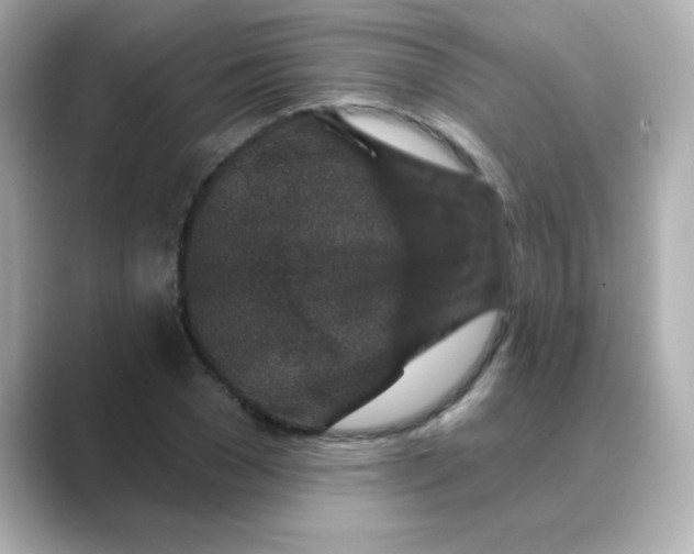 X0000088670977200706211848