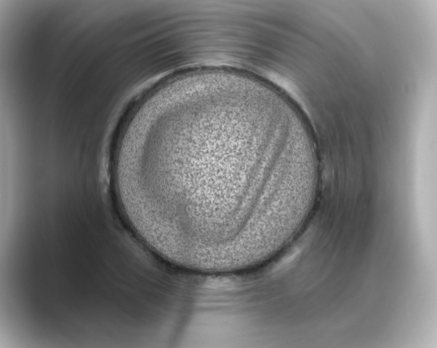X0000088670979200706211848