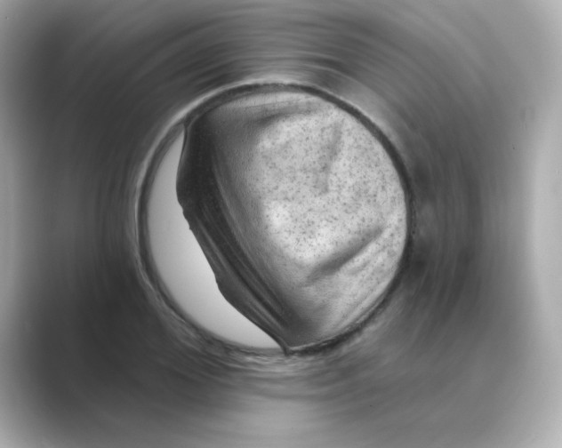 X0000088670980200706211848