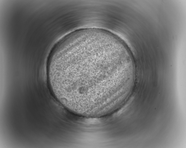 X0000088670982200706211848