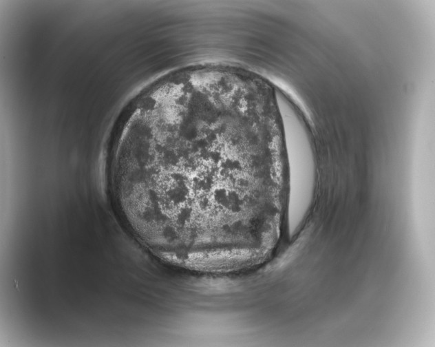 X0000088670983200706211848