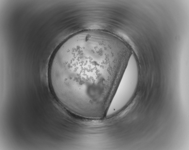 X0000088670986200706211848
